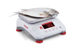  OHAUS Valor 4000 V41PWE3T -  